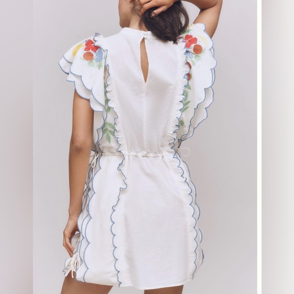 Farm Rio Embroidered Ruffle Mini Tunic Dress - Picture 3 of 15